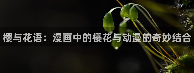 omofun网页版入口处：樱与花语：漫画中的樱花与动漫的奇妙结合