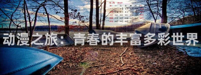 age动漫omofun：动漫之旅：青春的丰富多彩世界