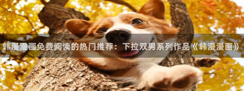 omofun专注动漫官网入口：韩漫漫画免费阅读的热门推荐：下拉双男系列作品《韩漫漫画》