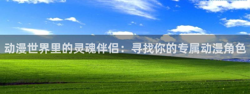 omofun最新纯净版：动漫世界里的灵魂伴侣：寻找你的专属动漫角色