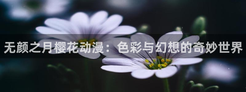 omofun动漫免费看：无颜之月樱花动漫：色彩与幻想的奇妙世界