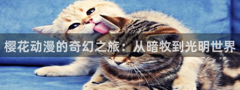 下载omofun：樱花动漫的奇幻之旅：从暗牧到光明世界