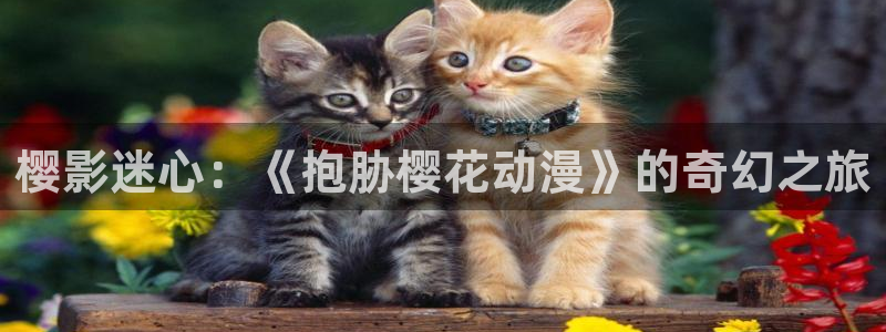 囧次元入口：樱影迷心：《抱胁樱花动漫》的奇幻之旅