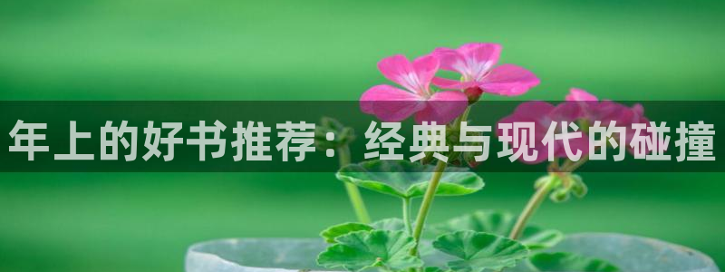 omofun 动漫：年上的好书推荐：经典与现代的碰撞