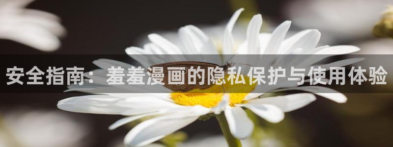 omofun动漫 官网：安全指南：羞羞漫画的隐私保护与使用体验