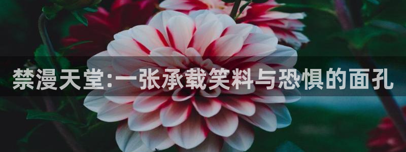 omofun去广告版：禁漫天堂:一张承载笑料与恐惧的面孔