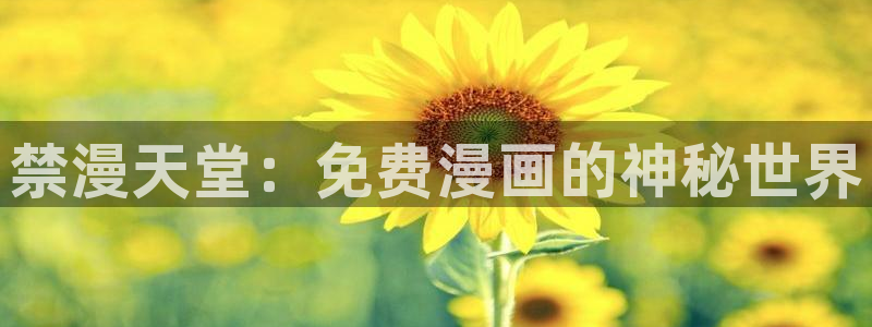 囧次元正版：禁漫天堂：免费漫画的神秘世界