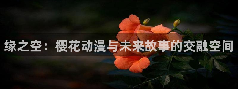 omofun全新版官网入口：缘之空：樱花动漫与未来故事的交融空间