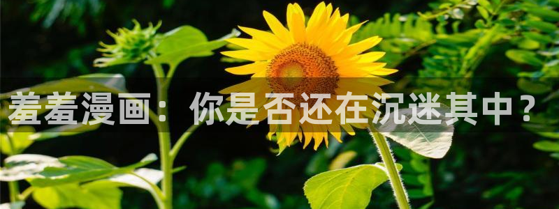 omofun.：羞羞漫画：你是否还在沉迷其中？