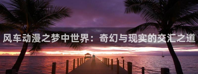 囧次元下载
