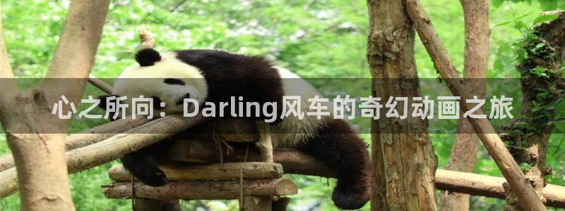 omofun苹果版：心之所向：Darling风车的奇幻动画之旅