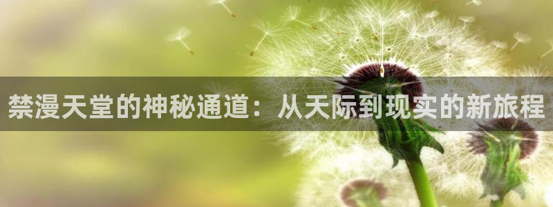 囧次元网页版：禁漫天堂的神秘通道：从天际到现实的新旅程
