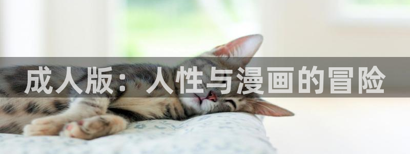 囧次元下载链接：成人版：人性与漫画的冒险