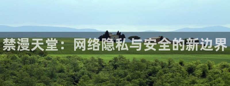 omofun正版下载：禁漫天堂：网络隐私与安全的新边界