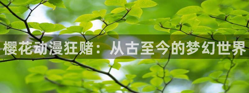 omofun免费看动漫：樱花动漫狂赌：从古至今的梦幻世界