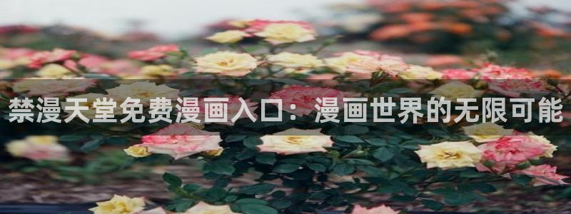 进入囧次元：禁漫天堂免费漫画入口：漫画世界的无限可能